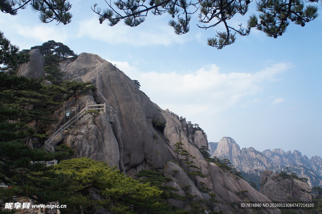 巍峨山峰与葱郁树木景观