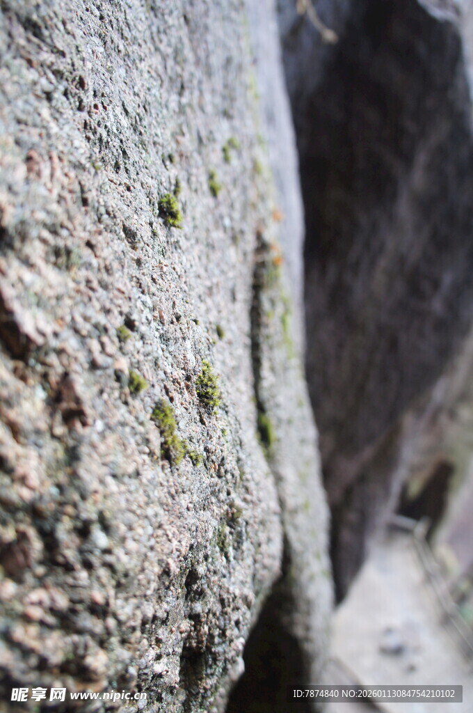 岩石上的绿色苔藓
