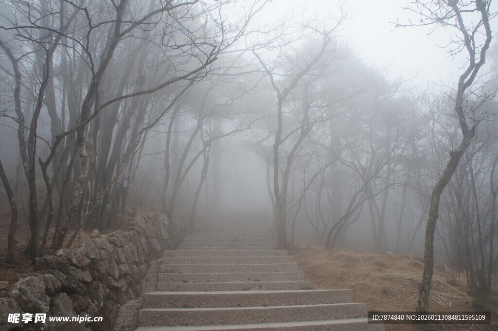 雾中石阶 山林静谧之景