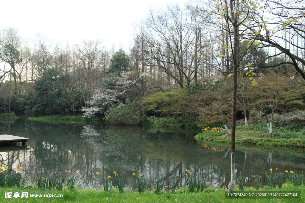 宁静湖畔园林美景