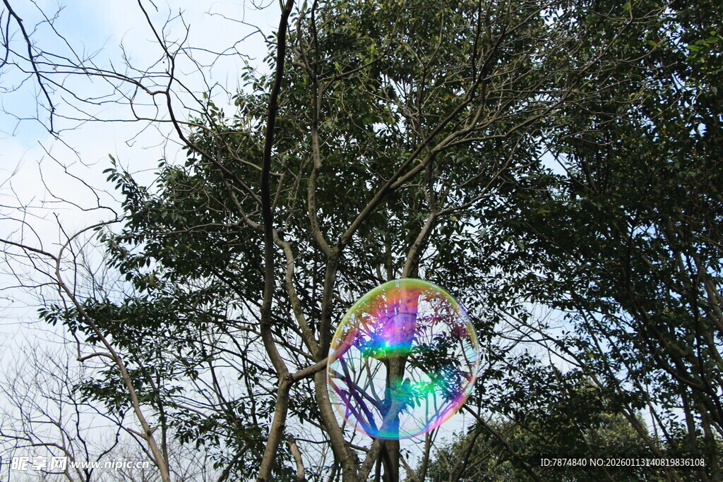 彩色风筝挂在树林间