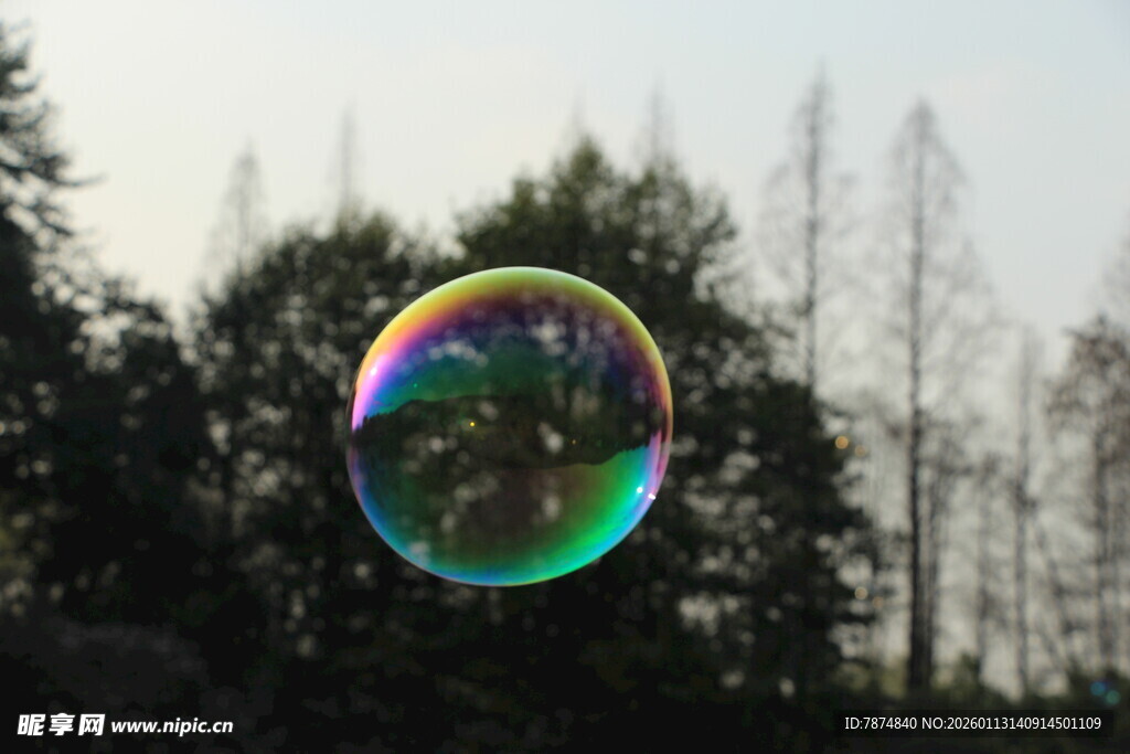 阳光下的彩色梦幻大泡泡