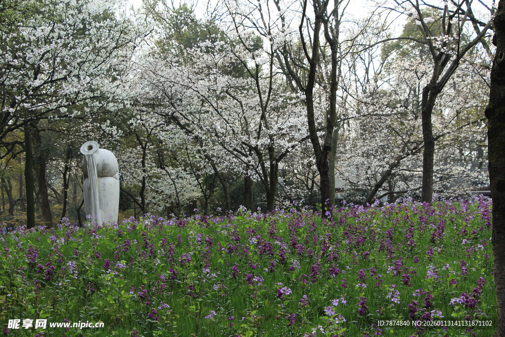 樱花丛中的白色雕像景观