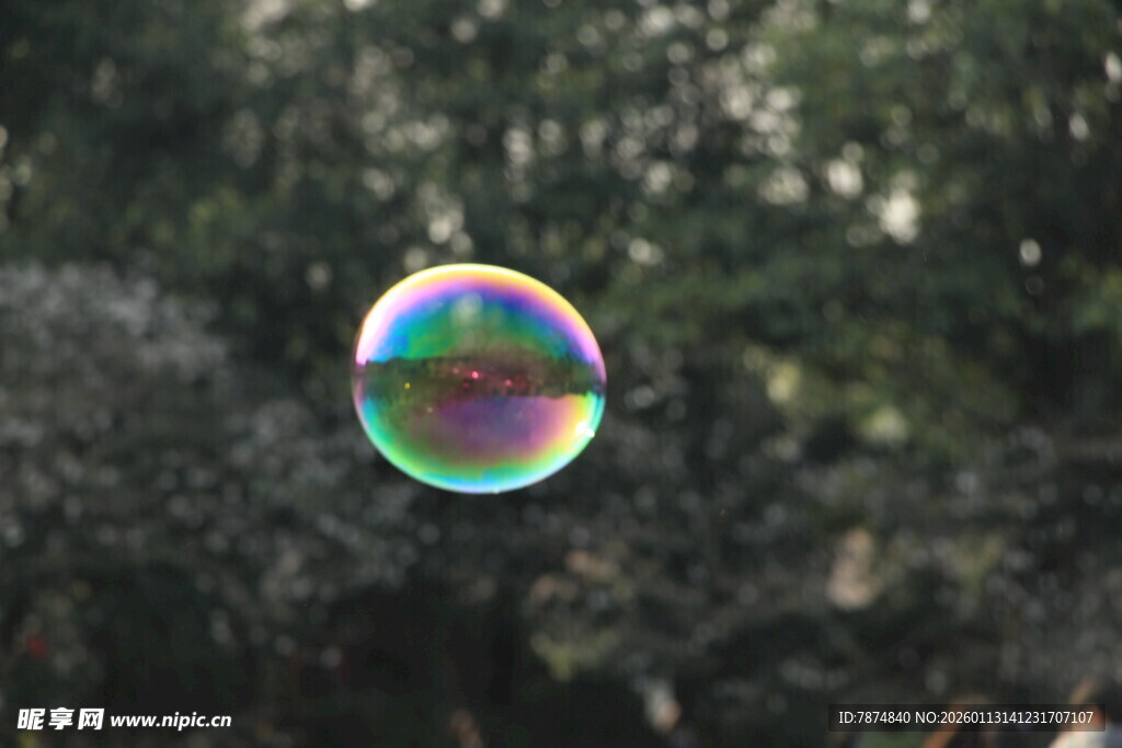 阳光下的彩色泡泡