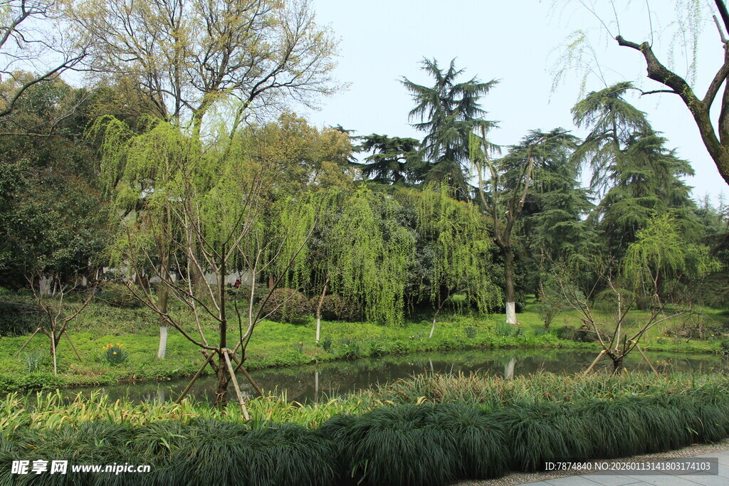 春日绿意盎然的园林景观