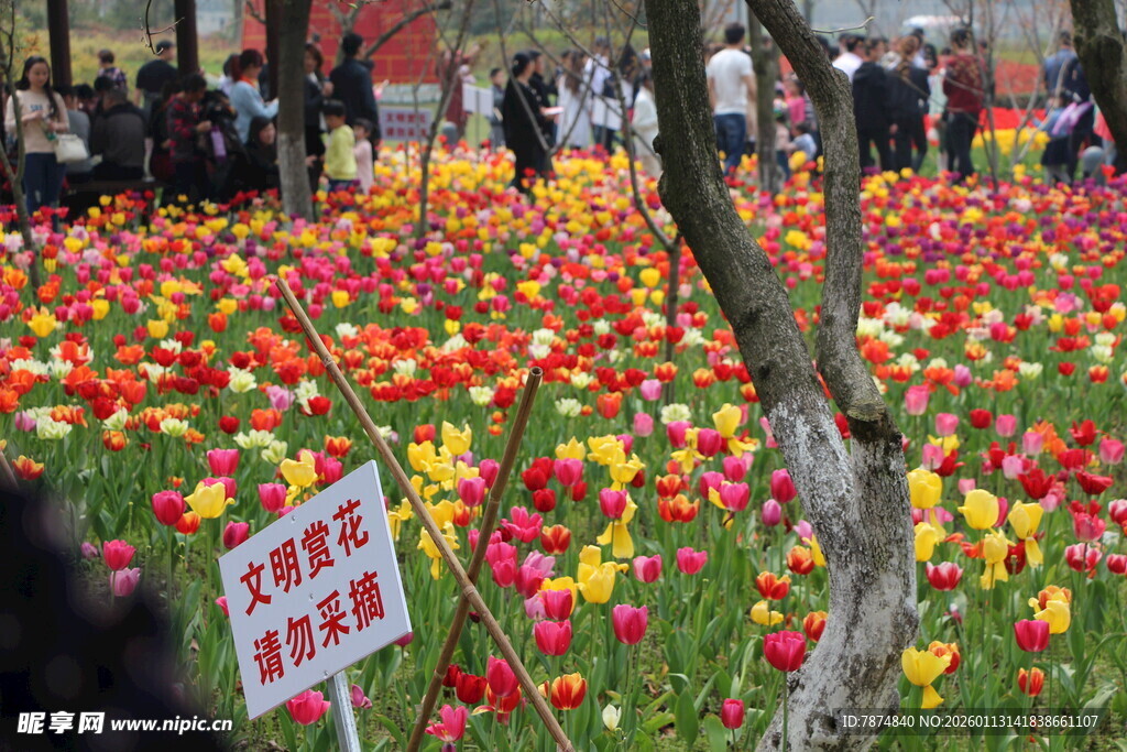 春日花海中的禁止踩踏标识