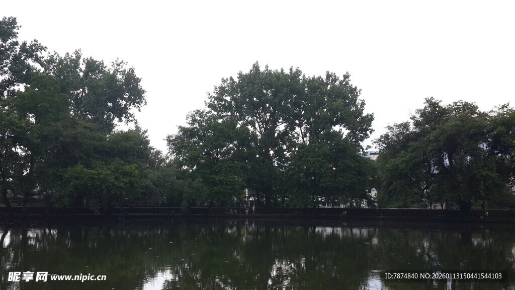 湖畔绿树倒映宁静景致