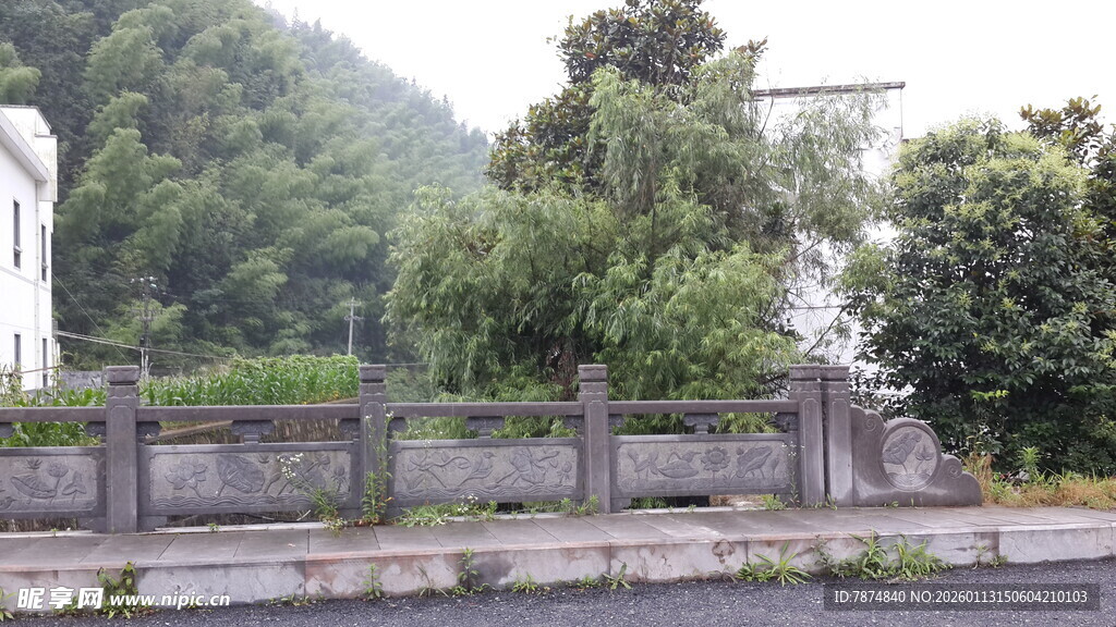 庭院外的绿植与围墙