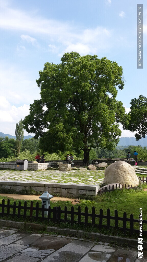 户外静谧园林景观