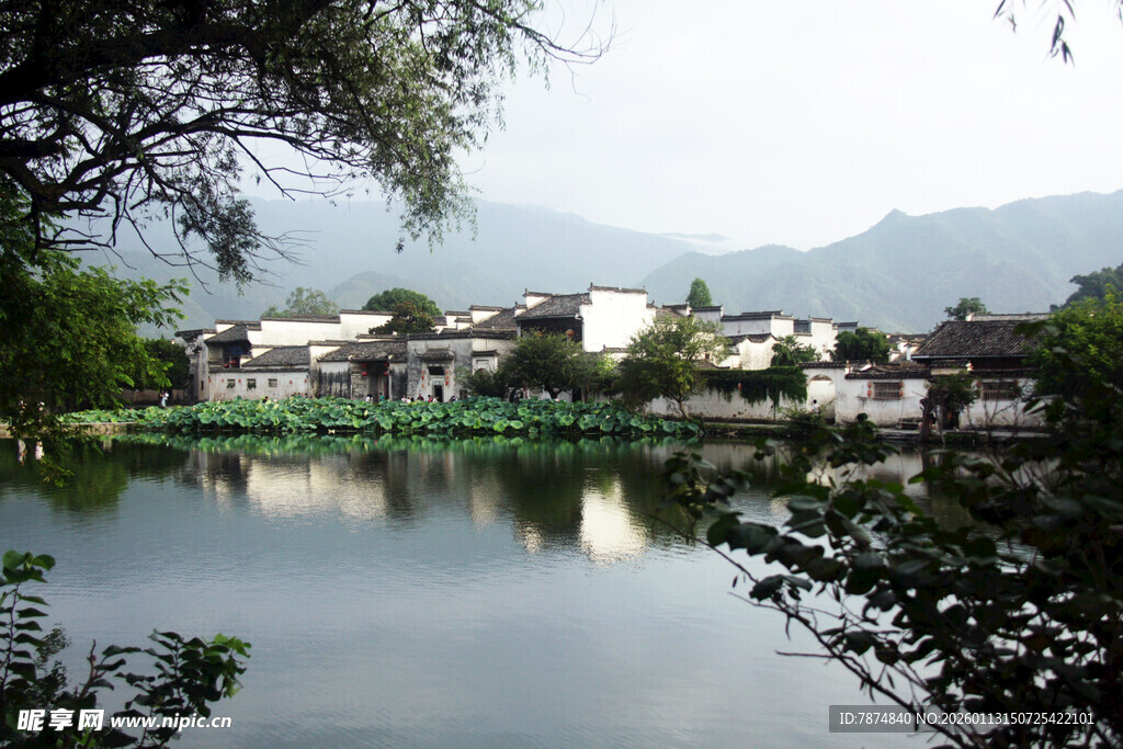 江南水乡湖畔静谧景致