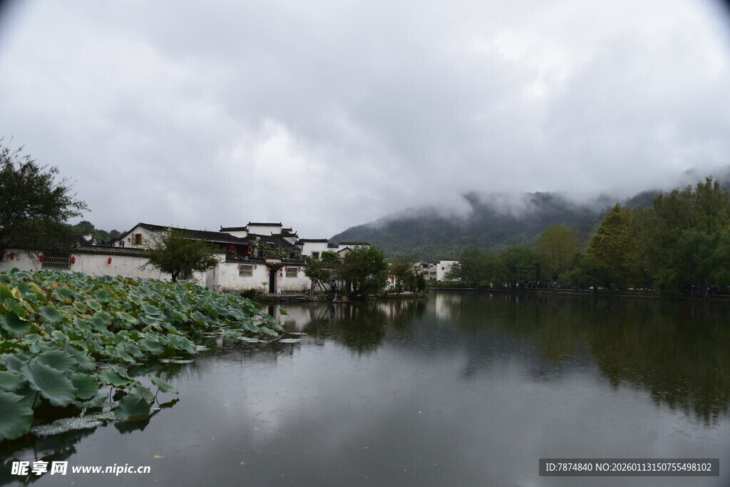 湖畔荷景 云雾缭绕的诗意