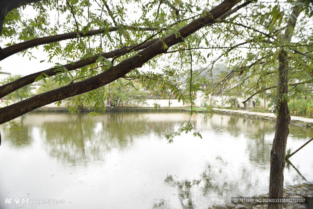 湖畔绿荫下的静谧景致