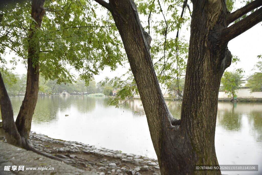 河畔绿树环绕的静谧景致