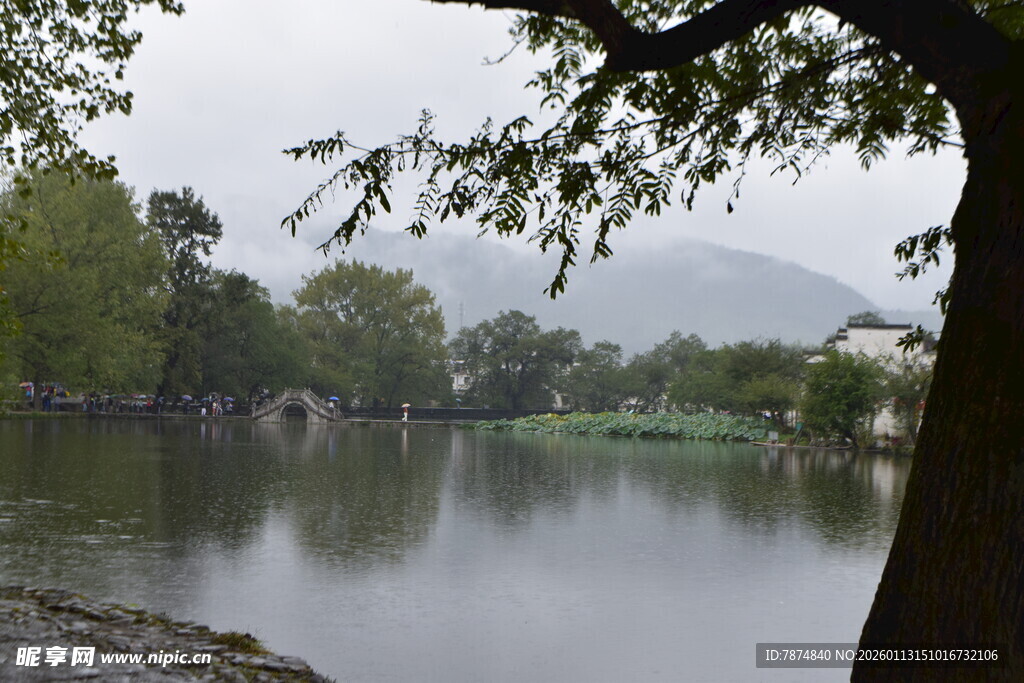 湖畔树影 静谧自然景致