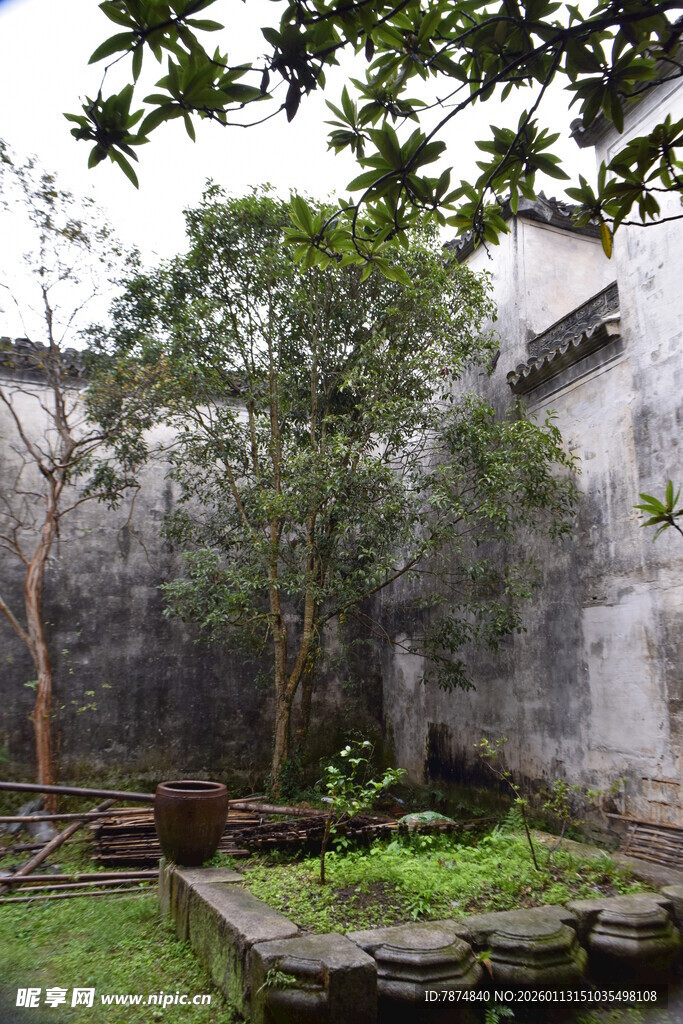 中式庭院 古朴静谧景致