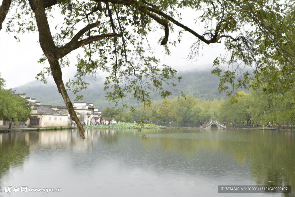 湖畔绿树环绕的宁静景致