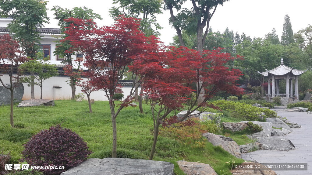 中式庭院景观 花木小径