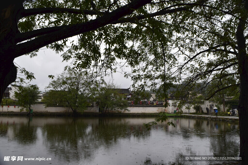 湖畔绿树成荫的静谧景致