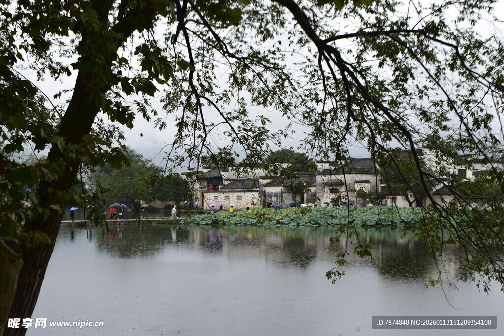 湖畔树影下的宁静水乡