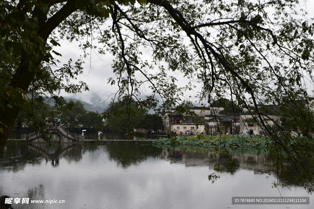湖畔树影下的静谧水乡风光