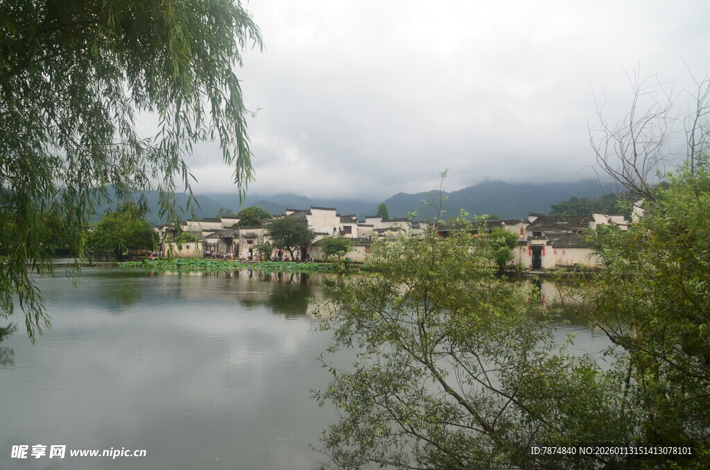 湖畔村落风光 垂柳映景