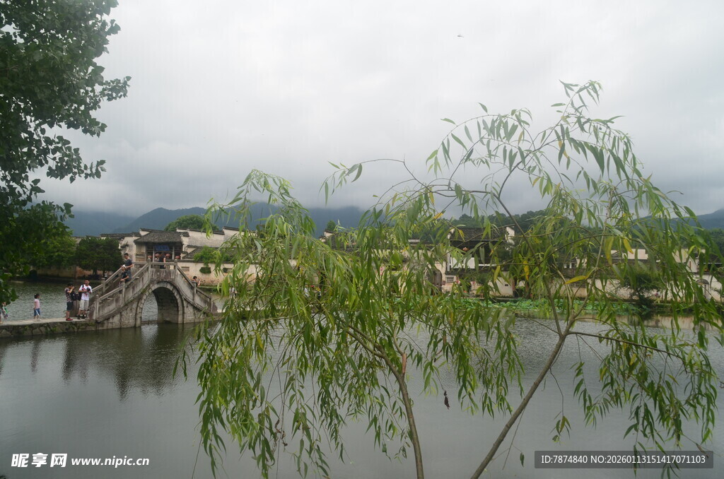 湖畔垂柳与石桥风景
