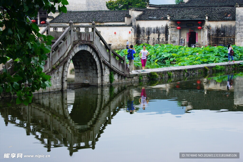 江南水乡石桥荷塘美景