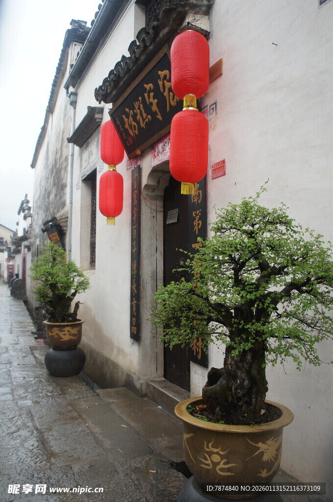 古巷红灯下的雅致盆景