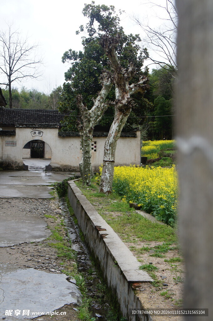 春日园林小径景致