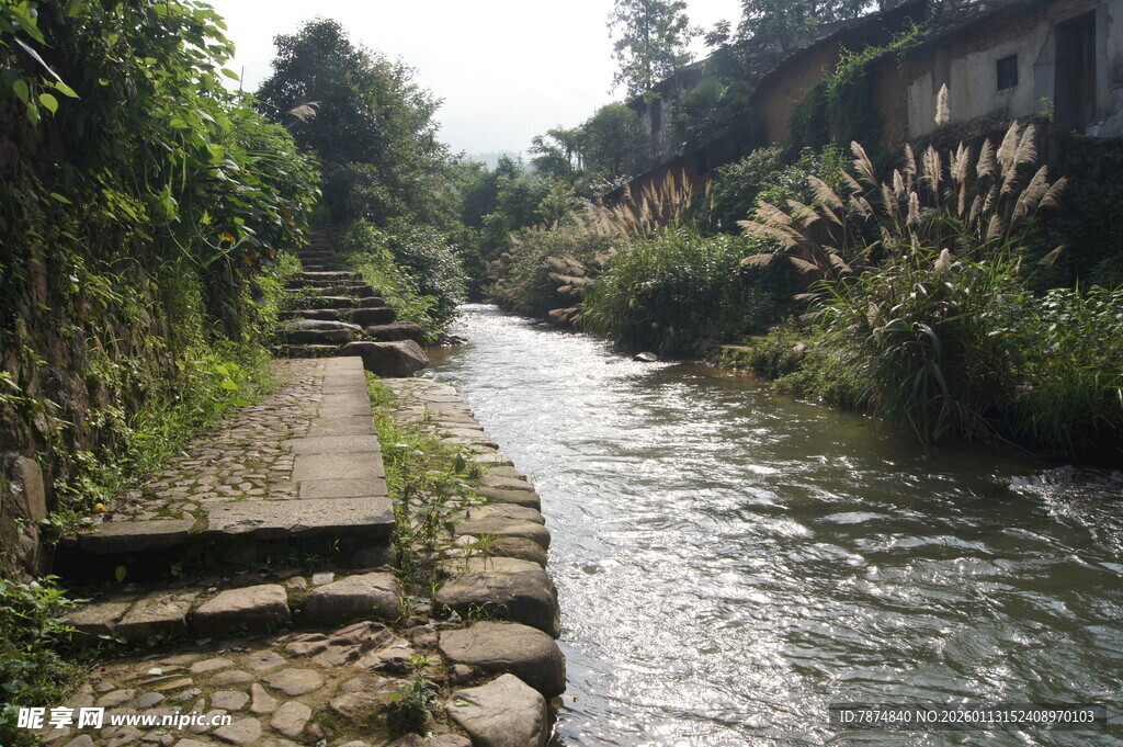 乡村溪边小道 自然景致