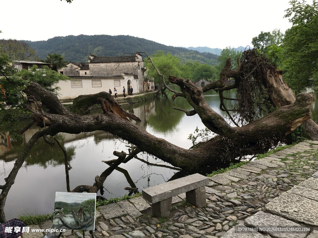 古村水边倾斜老树景观