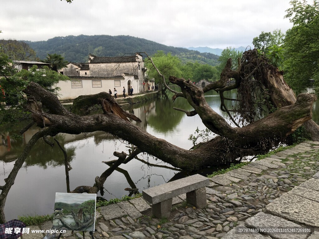 古村水边倾斜老树景观