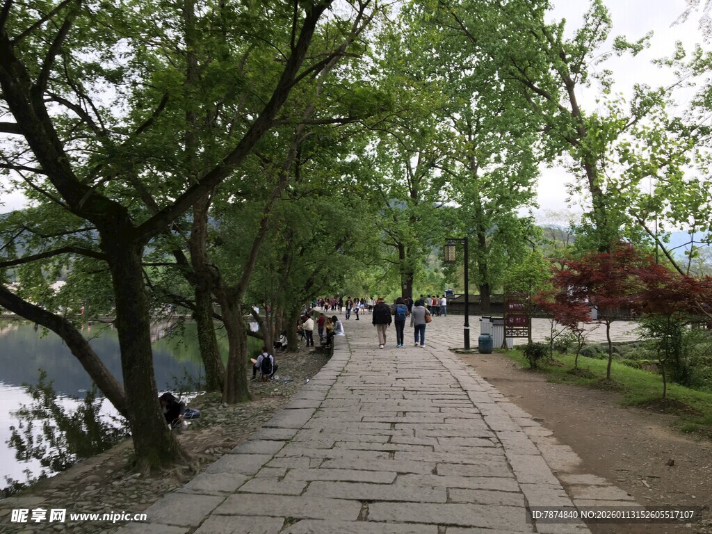 湖畔林荫步道行人漫步