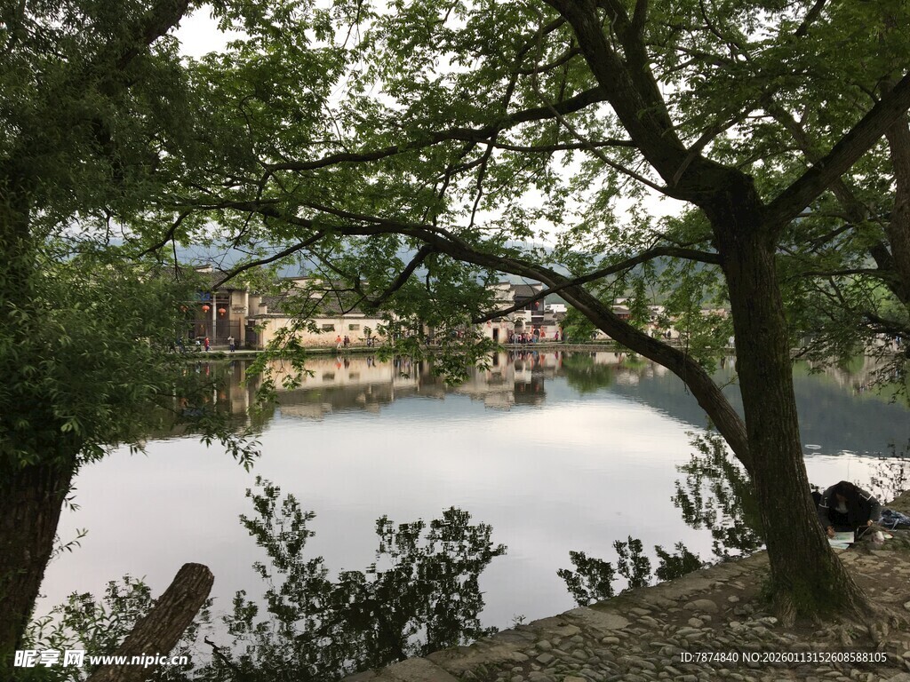 湖畔绿树环绕的静谧景致