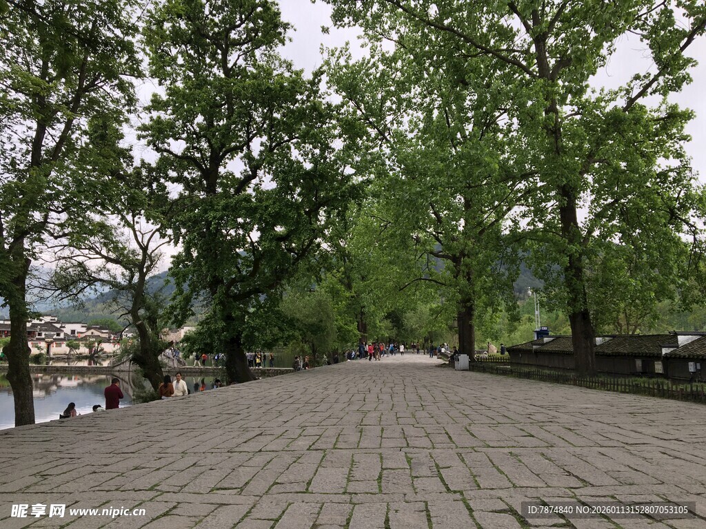 林荫铺石路 静谧景致