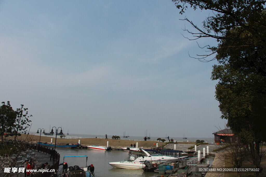 港口停泊的船只与岸边景象