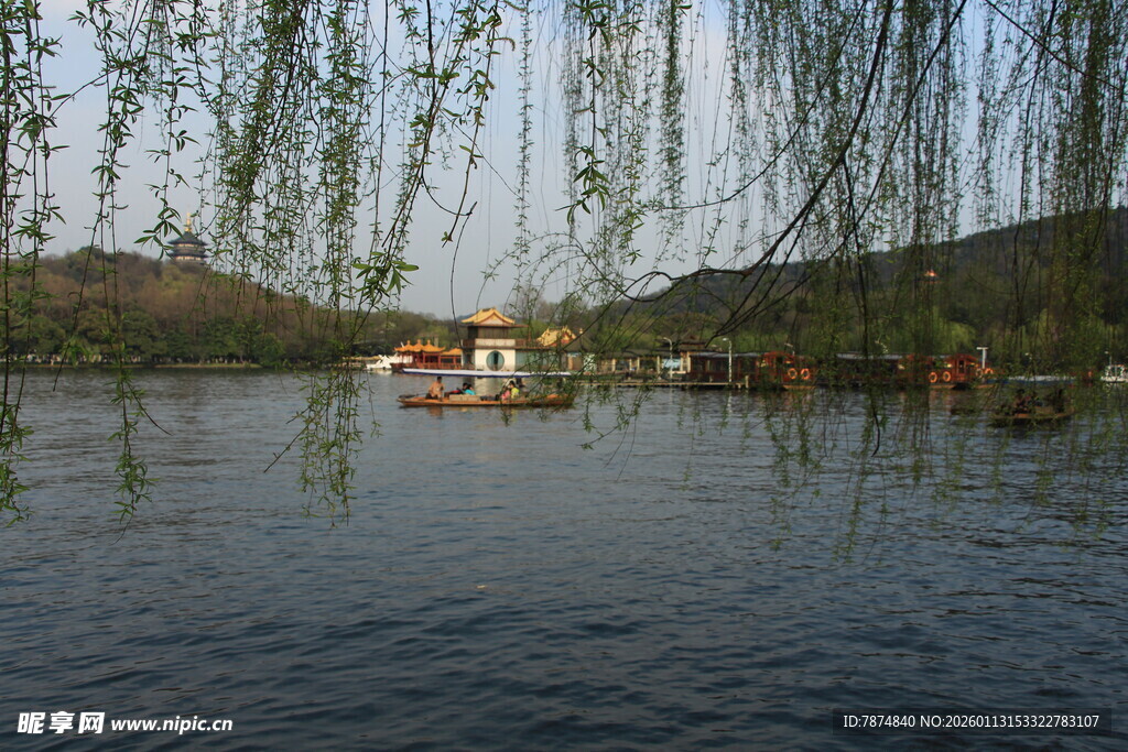 湖畔垂柳下的宁静风光