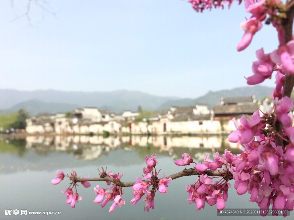 湖畔繁花映古村