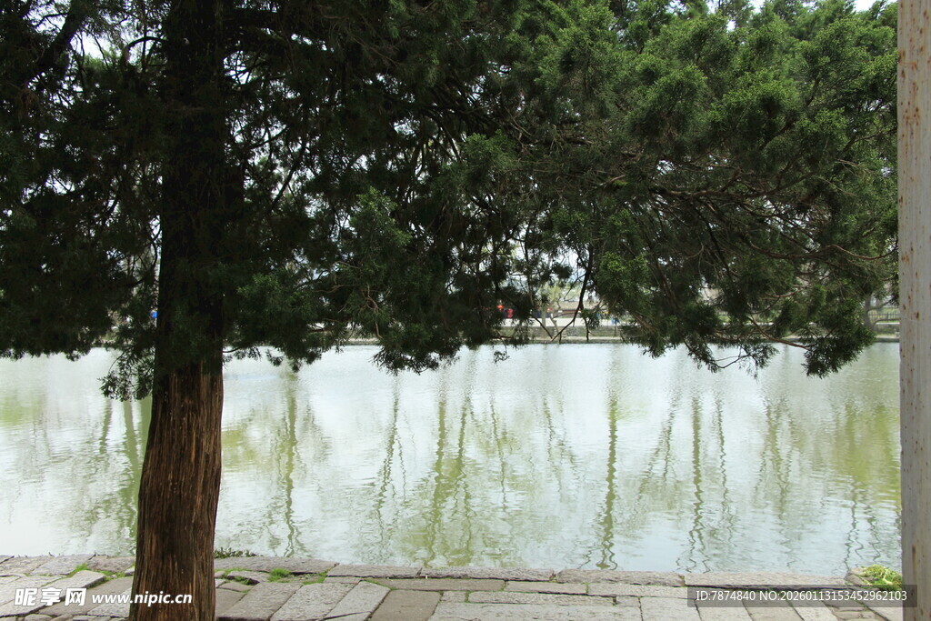 湖边绿树成荫的静谧景致