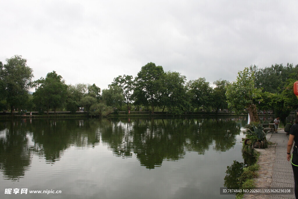 湖畔绿树成荫的宁静景致