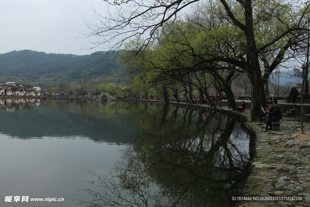 湖畔垂柳倒影山水美景