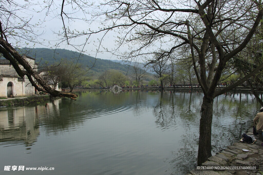 宁静湖畔乡村景致