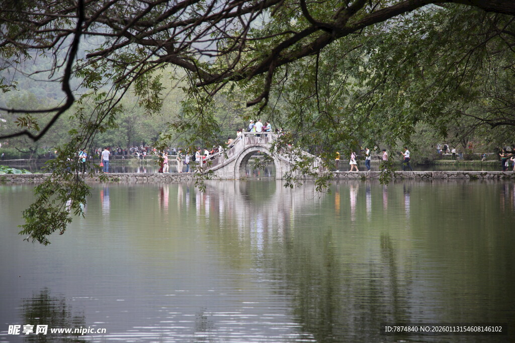 湖畔绿荫下的静谧景致