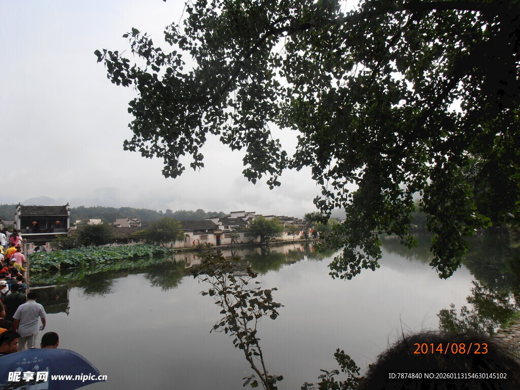 河畔风景 绿树映衬宁静水域