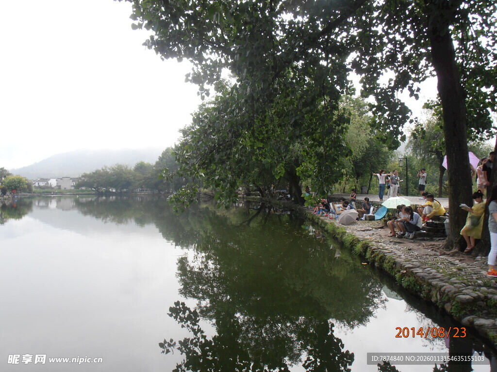 河畔绿树成荫的宁静景象