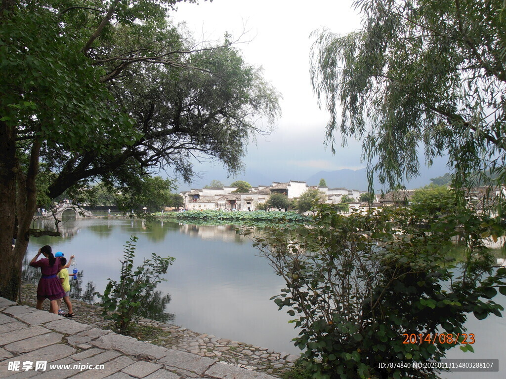 湖畔风景 绿树环绕的宁静地