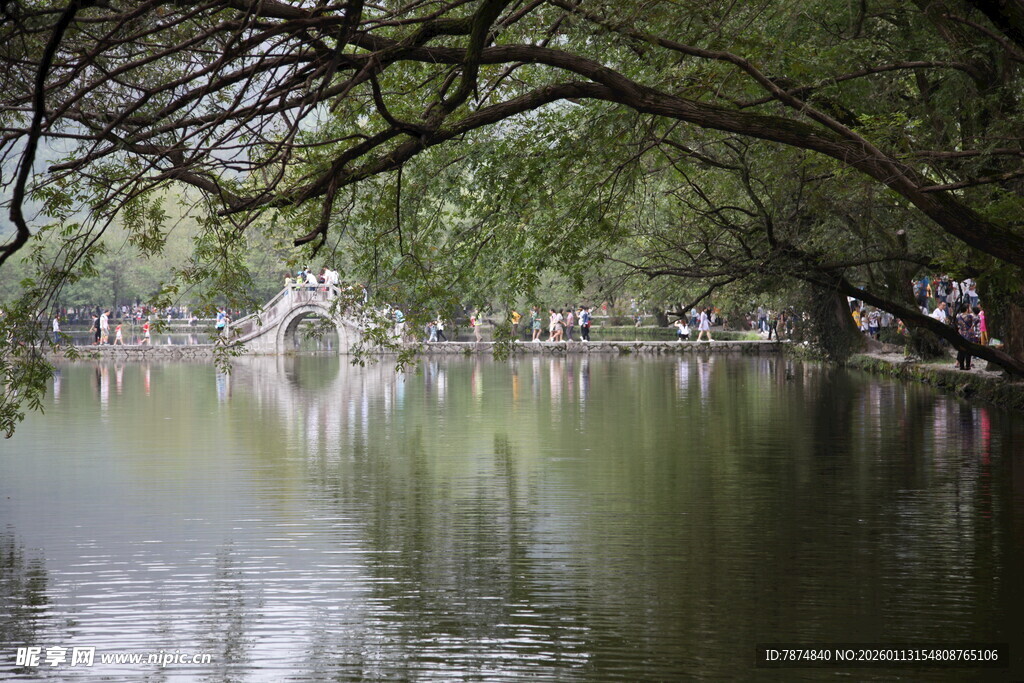 湖畔绿荫下的静谧水景