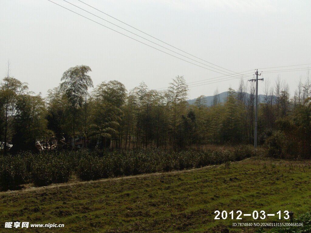 田野风光 远处树木与电线