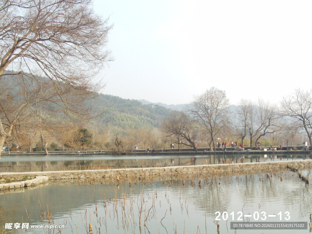 冬日宁静湖边景色