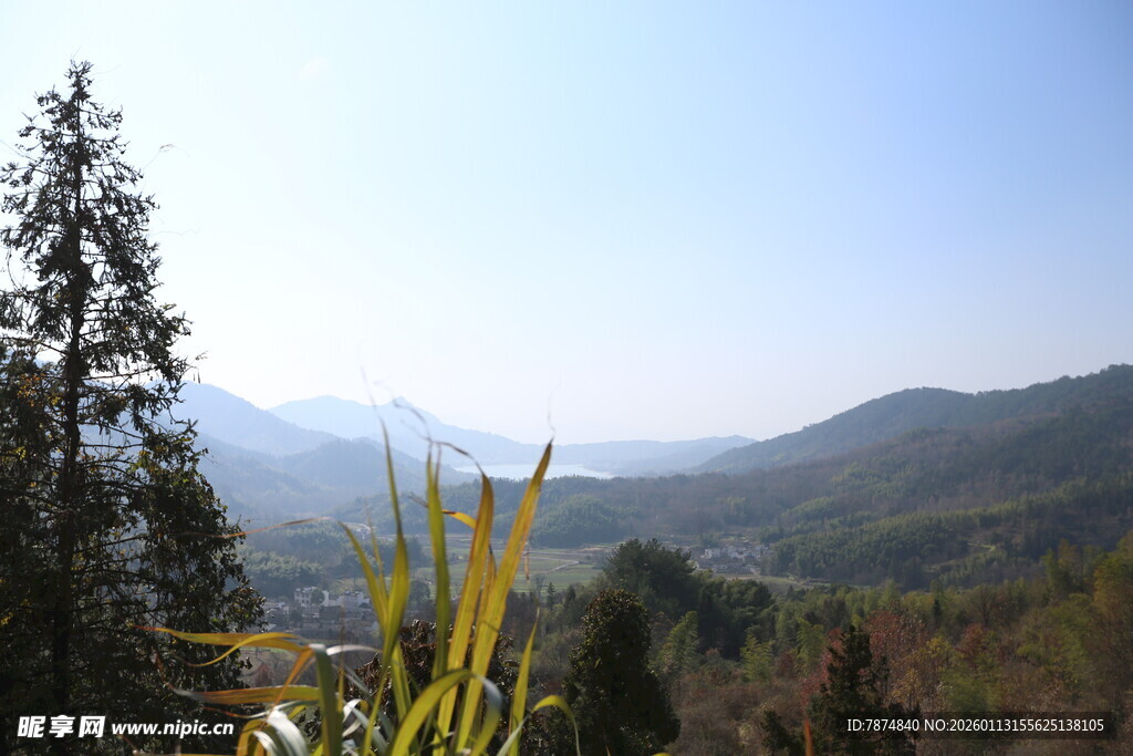 山间美景 树木与远山相映